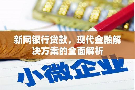 海盐新网银行贷款，现代金融解决方案的全面解析