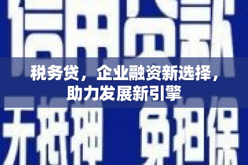 海盐税务贷，企业融资新选择，助力发展新引擎