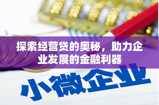 海盐探索经营贷的奥秘，助力企业发展的金融利器