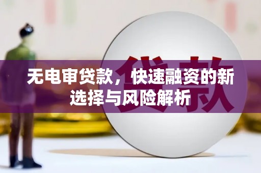 海盐无电审贷款，快速融资的新选择与风险解析