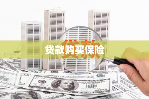 海盐贷款购买保险