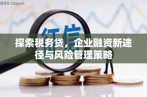 海盐探索税务贷，企业融资新途径与风险管理策略