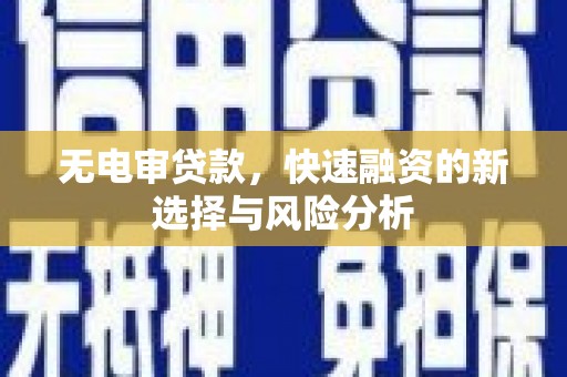 海盐无电审贷款，快速融资的新选择与风险分析