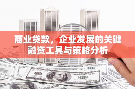 海盐商业贷款，企业发展的关键融资工具与策略分析