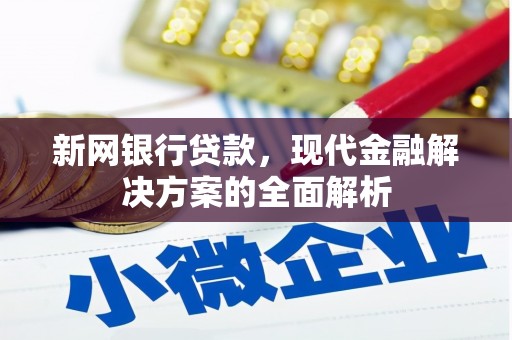 海盐新网银行贷款，现代金融解决方案的全面解析