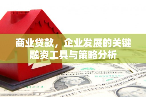 海盐商业贷款，企业发展的关键融资工具与策略分析
