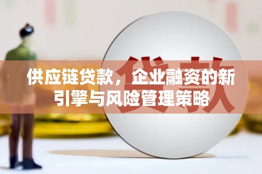 海盐供应链贷款，企业融资的新引擎与风险管理策略