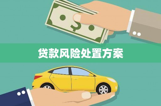海盐贷款风险处置方案