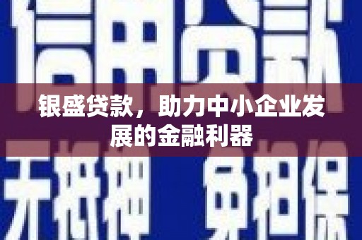 海盐银盛贷款，助力中小企业发展的金融利器