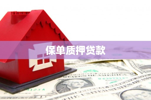 海盐保单质押贷款