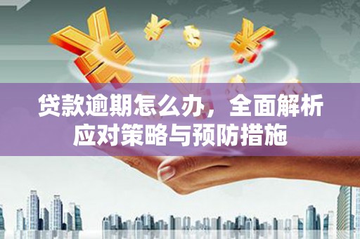 海盐贷款逾期怎么办，全面解析应对策略与预防措施