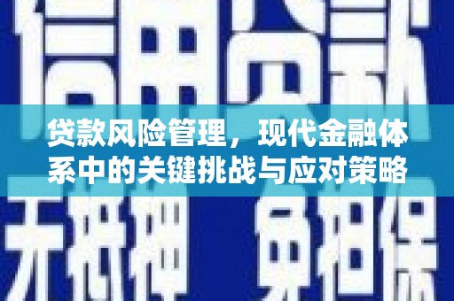海盐贷款风险管理，现代金融体系中的关键挑战与应对策略