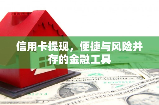 海盐信用卡提现，便捷与风险并存的金融工具