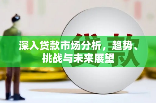 海盐深入贷款市场分析，趋势、挑战与未来展望