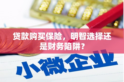 海盐贷款购买保险，明智选择还是财务陷阱？
