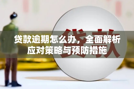 海盐贷款逾期怎么办，全面解析应对策略与预防措施