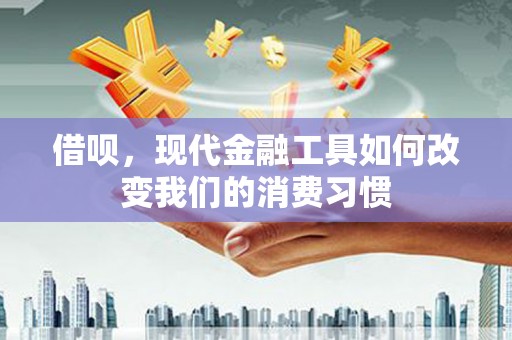 海盐借呗，现代金融工具如何改变我们的消费习惯