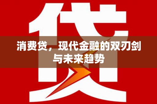 海盐消费贷，现代金融的双刃剑与未来趋势