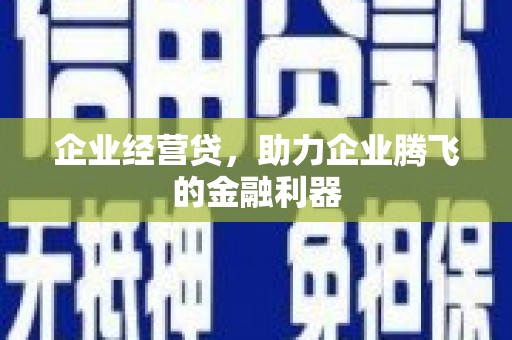 海盐企业经营贷，助力企业腾飞的金融利器