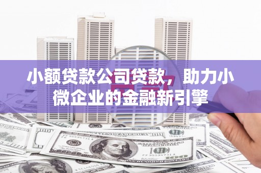 海盐小额贷款公司贷款，助力小微企业的金融新引擎