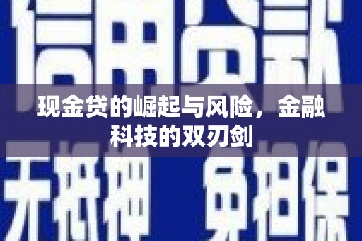 海盐现金贷的崛起与风险，金融科技的双刃剑