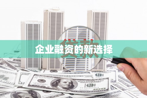 海盐企业融资的新选择
