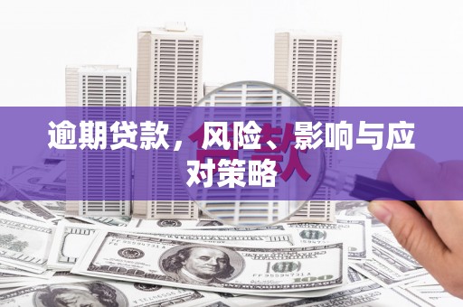 海盐逾期贷款，风险、影响与应对策略