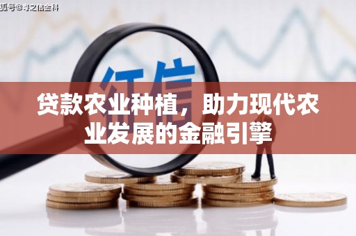海盐贷款农业种植，助力现代农业发展的金融引擎