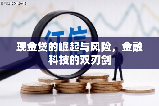 海盐现金贷的崛起与风险，金融科技的双刃剑