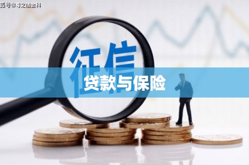 海盐贷款与保险