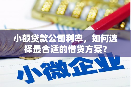 海盐小额贷款公司利率，如何选择最合适的借贷方案？