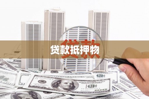 海盐贷款抵押物