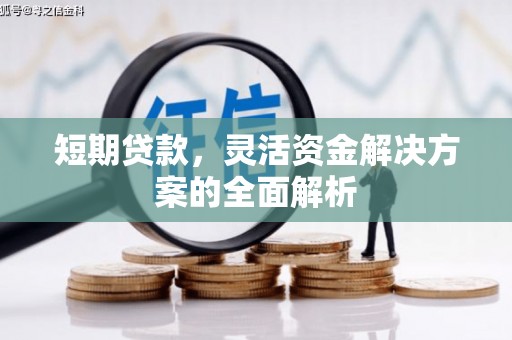海盐短期贷款，灵活资金解决方案的全面解析