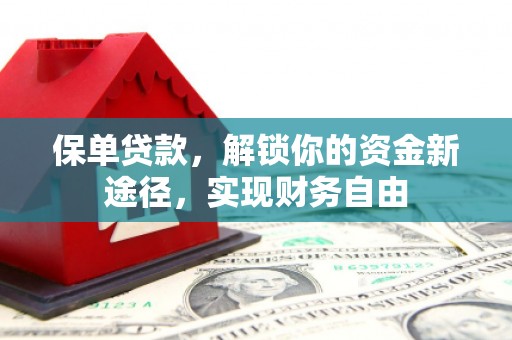 海盐保单贷款，解锁你的资金新途径，实现财务自由