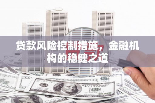 海盐贷款风险控制措施，金融机构的稳健之道