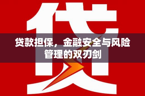 海盐贷款担保，金融安全与风险管理的双刃剑