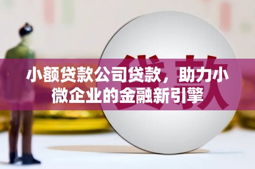 海盐小额贷款公司贷款，助力小微企业的金融新引擎