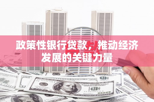 海盐政策性银行贷款，推动经济发展的关键力量