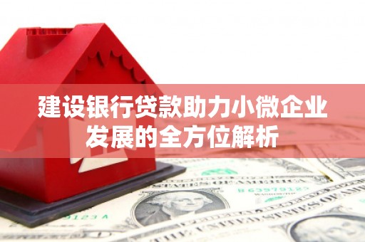 海盐建设银行贷款助力小微企业发展的全方位解析