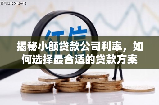 海盐揭秘小额贷款公司利率，如何选择最合适的贷款方案