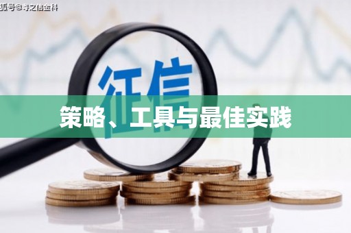 海盐策略、工具与最佳实践