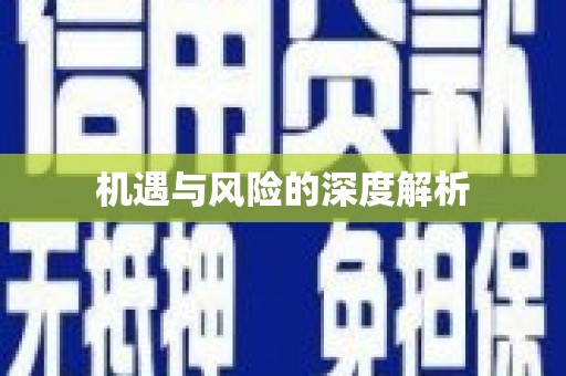 海盐机遇与风险的深度解析