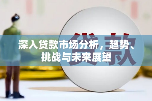 海盐深入贷款市场分析，趋势、挑战与未来展望