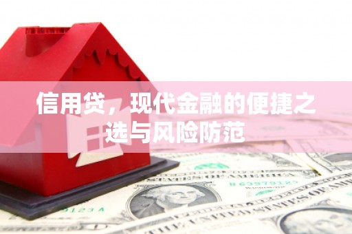 海盐信用贷，现代金融的便捷之选与风险防范