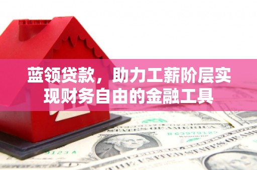 海盐蓝领贷款，助力工薪阶层实现财务自由的金融工具