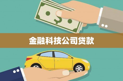 海盐金融科技公司贷款