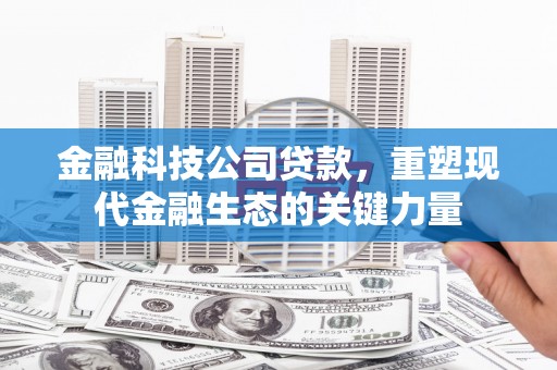 海盐金融科技公司贷款，重塑现代金融生态的关键力量