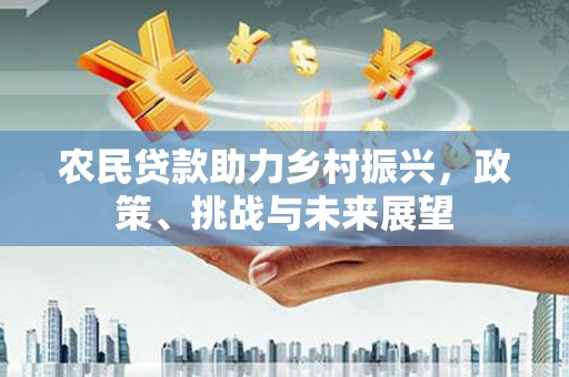 海盐农民贷款助力乡村振兴，政策、挑战与未来展望