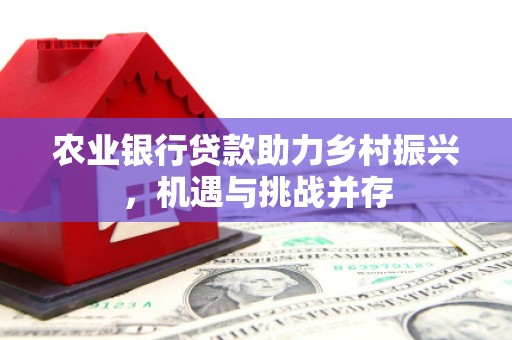 海盐农业银行贷款助力乡村振兴，机遇与挑战并存