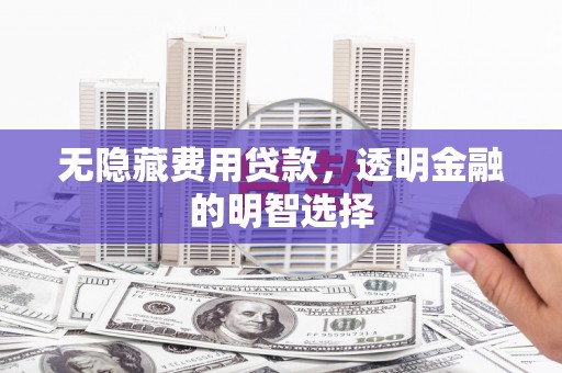 海盐无隐藏费用贷款，透明金融的明智选择